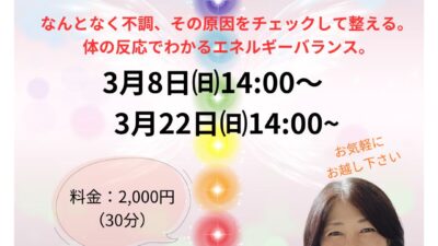 チャクラチェック体験会