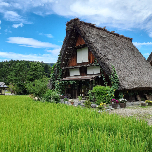 白川郷の風景